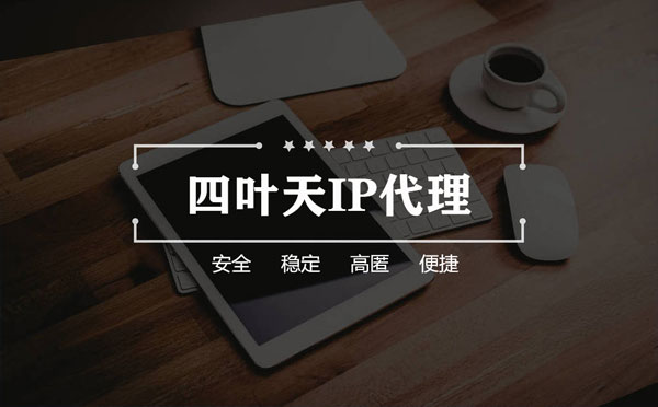 【泰州代理IP】如何快速搭建代理IP？怎么检查代理的效果？